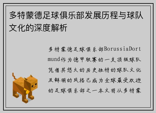 多特蒙德足球俱乐部发展历程与球队文化的深度解析