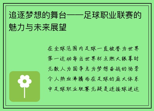 追逐梦想的舞台——足球职业联赛的魅力与未来展望
