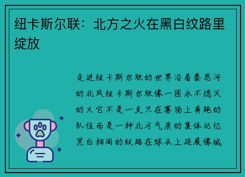 纽卡斯尔联：北方之火在黑白纹路里绽放